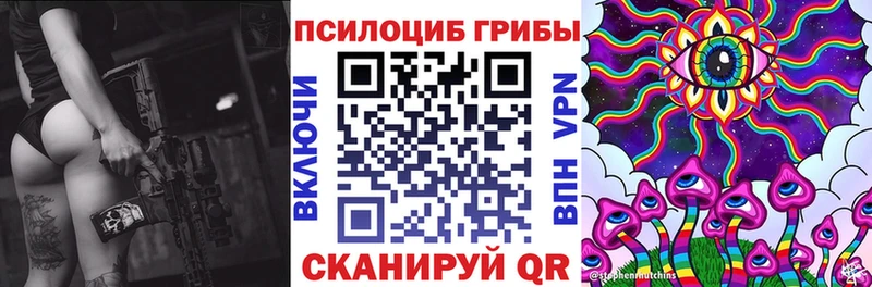 Псилоцибиновые грибы Psilocybe  Беломорск 